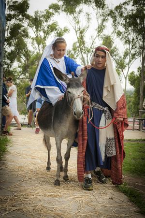 St Agnes Bethlehem Play 4 12 14  191
