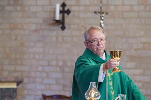 St Agnes Opening School Mass 6 February 2015  110