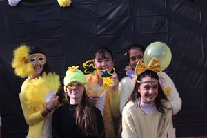 IMG 9383