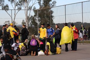 IMG 7741