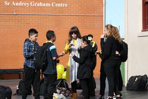 IMG 7772