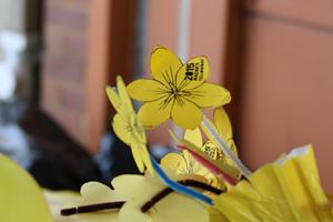 IMG 7778