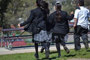 DSC 0017