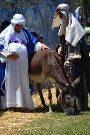 Road to Bethlehem 2015 (18)