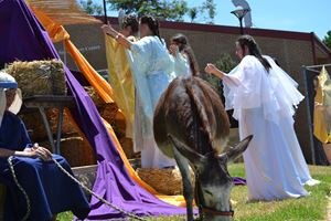 Road to Bethlehem 2015 (21)