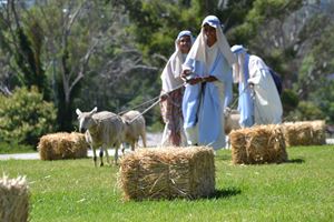 Road to Bethlehem 2015 (27)