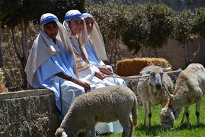 Road to Bethlehem 2015 (29)