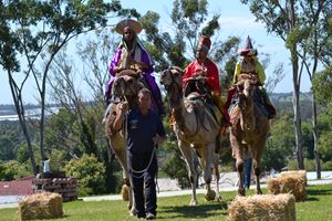 Road to Bethlehem 2015 (33)