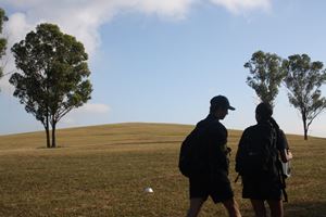 IMG 9554