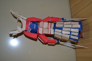 DSC 0050