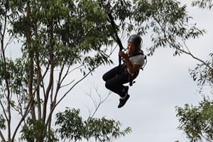 IMG 0479