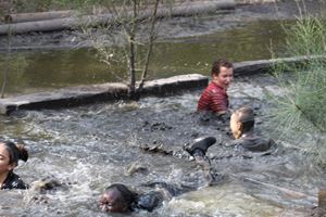 IMG 0532