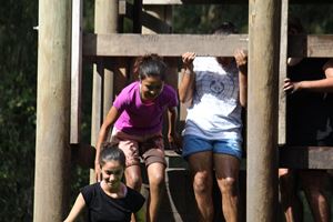 IMG 0539