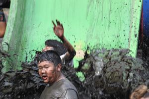 IMG 0545