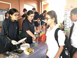 IMG 5303