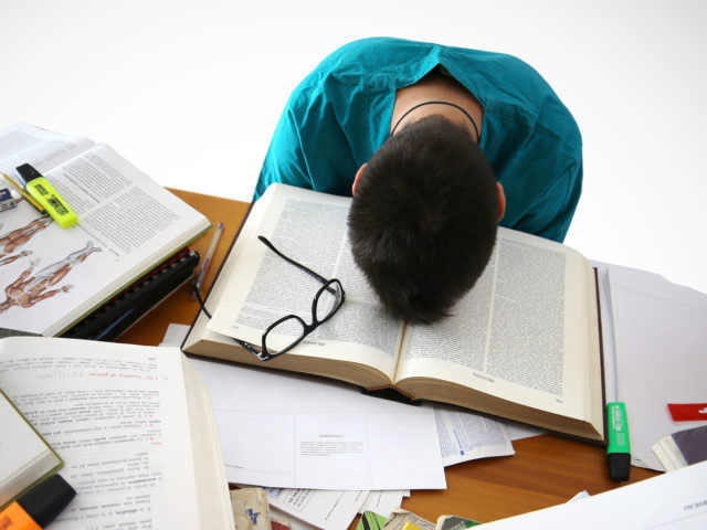 St Agnes Catholic High Rooty Hill | Catholic Education Diocese of  Parramatta - Reducing Homework Stress