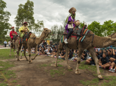 St Agnes students Biblical times reenactment. A student is riding on a camel.