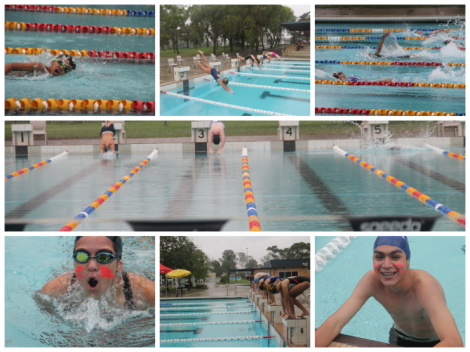 swimming carnival