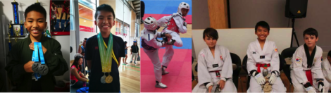 Taekwondo State Championships