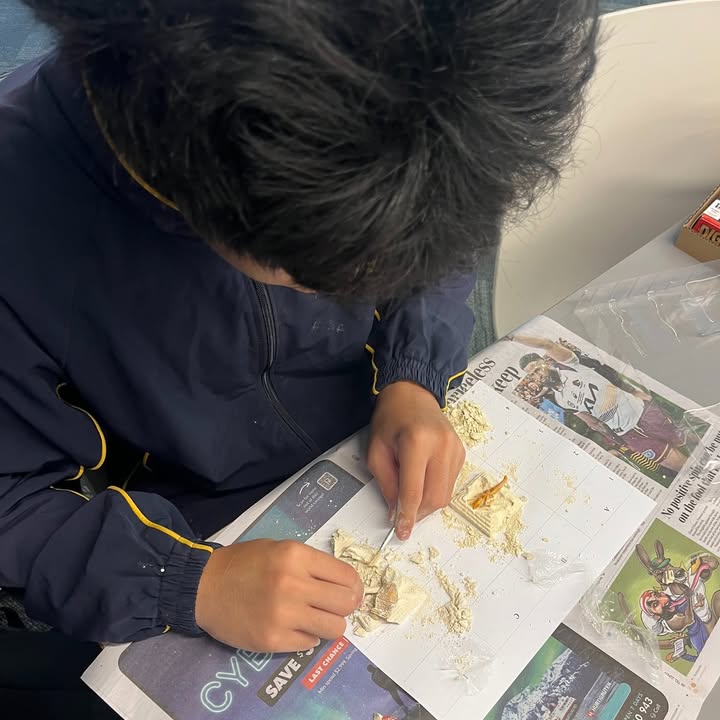 845629357588224_1310953954389093-1